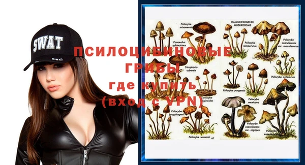 ешки Мегион