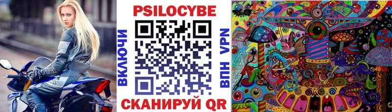 Галлюциногенные грибы Cubensis  купить наркотики сайты  Тарко-Сале 