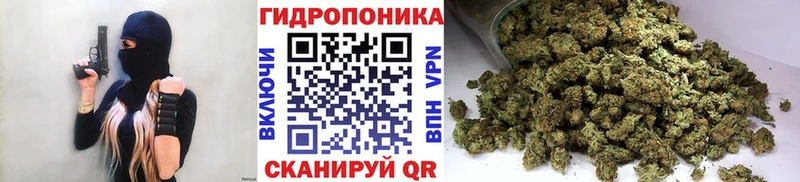 Бошки марихуана ГИДРОПОН Тарко-Сале